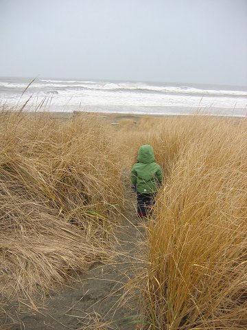 Christmas 2006. We stayed in Mariner Village, Ocean Shores, a resort beach about 1 hour away from Steilacoom, Washington State.