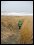[Click to enlarge]