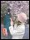 [Click to enlarge]